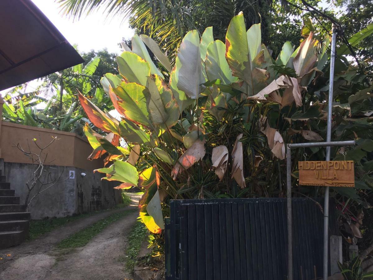 Hidden Point Villa Ubud Exteriör bild